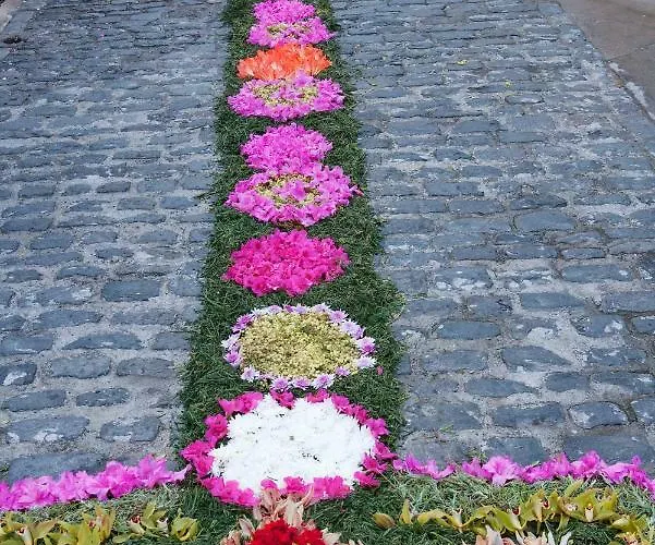 Antonella Hébergement de vacances